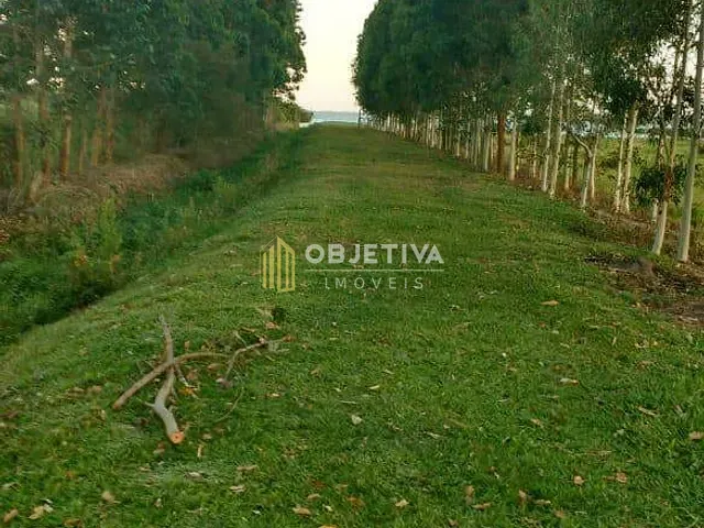Sítio com 120000m² 8 quartos e 8 banheiros, à venda, no bairro Livramento em Osório