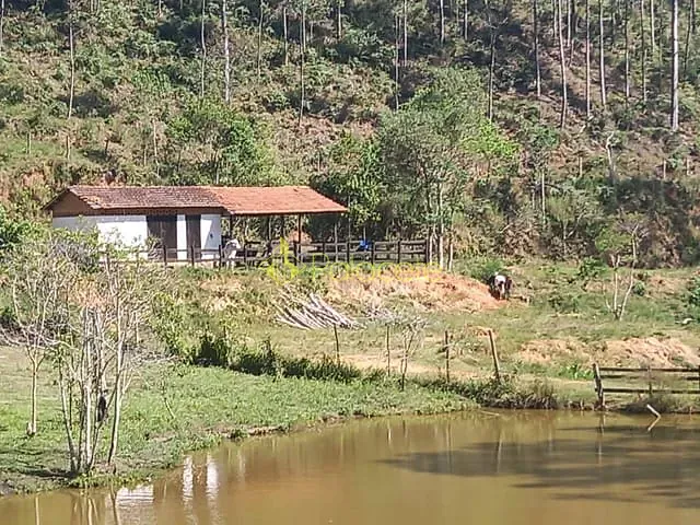 Sítio com 314600m² 8 quartos e 6 banheiros, à venda, no bairro Limoeiro em Natividade da Serra