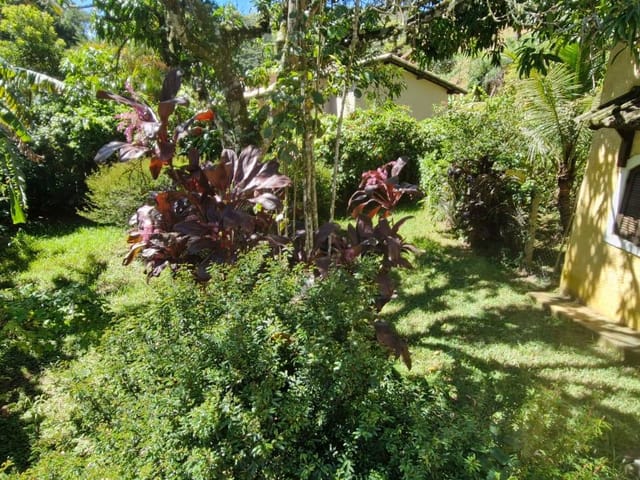 Sítio com 5000m² 4 quartos e 3 banheiros, à venda, no bairro Parque dos Pinheiros em Vassouras