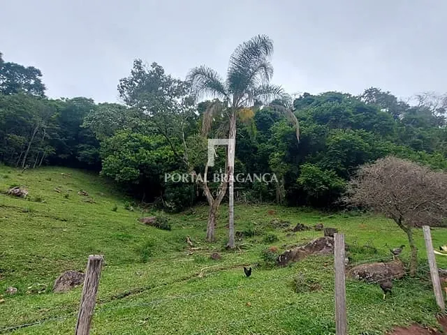 Sítio com 90m² 2 quartos e 1 banheiro, à venda, no bairro água Comprida em Bragança Paulista