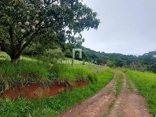 Sítio com 90m² 2 quartos e 1 banheiro, à venda, no bairro água Comprida em Bragança Paulista