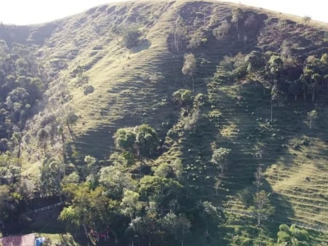 Sítio com 260000m² 11 quartos e 15 banheiros, à venda, no bairro Itapema em Guararema