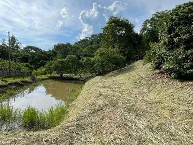 Sítio com 45000m² 2 quartos e 1 banheiro, à venda, no bairro Estrada do Papagaio em Pinheiral