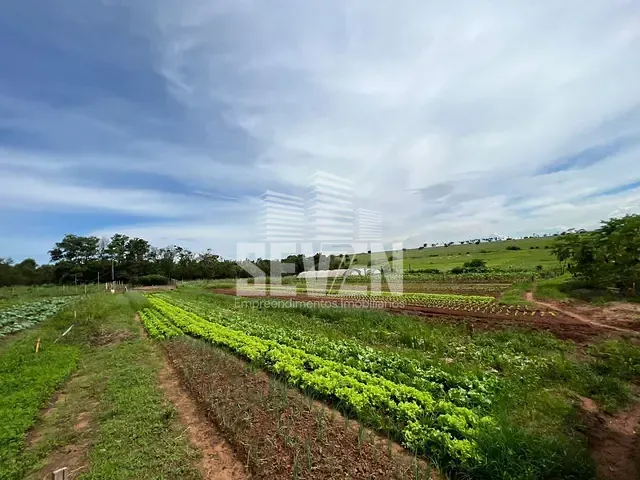Sítio com 47000m² 5 quartos e 3 banheiros, à venda, no bairro Jardim Vitoria em Arealva