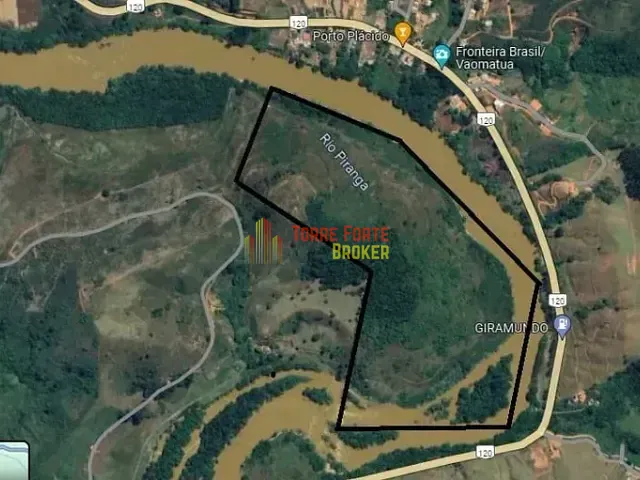 Sítio com 290000m², à venda, no bairro Área Rural de Ponte Nova em Ponte Nova
