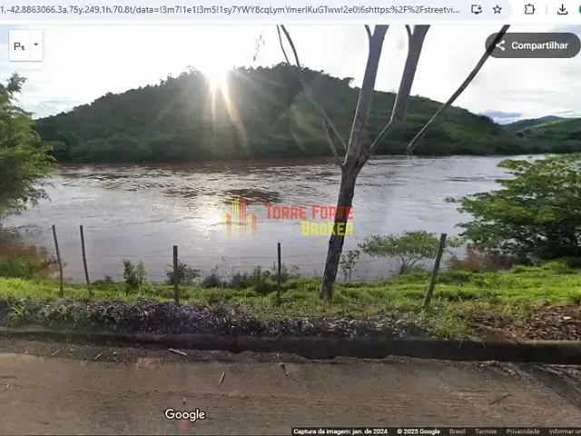 Sítio com 290000m², à venda, no bairro Área Rural de Ponte Nova em Ponte Nova