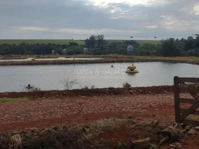 Sítio com 273m², à venda, no bairro Rural em Nova Santa Rosa