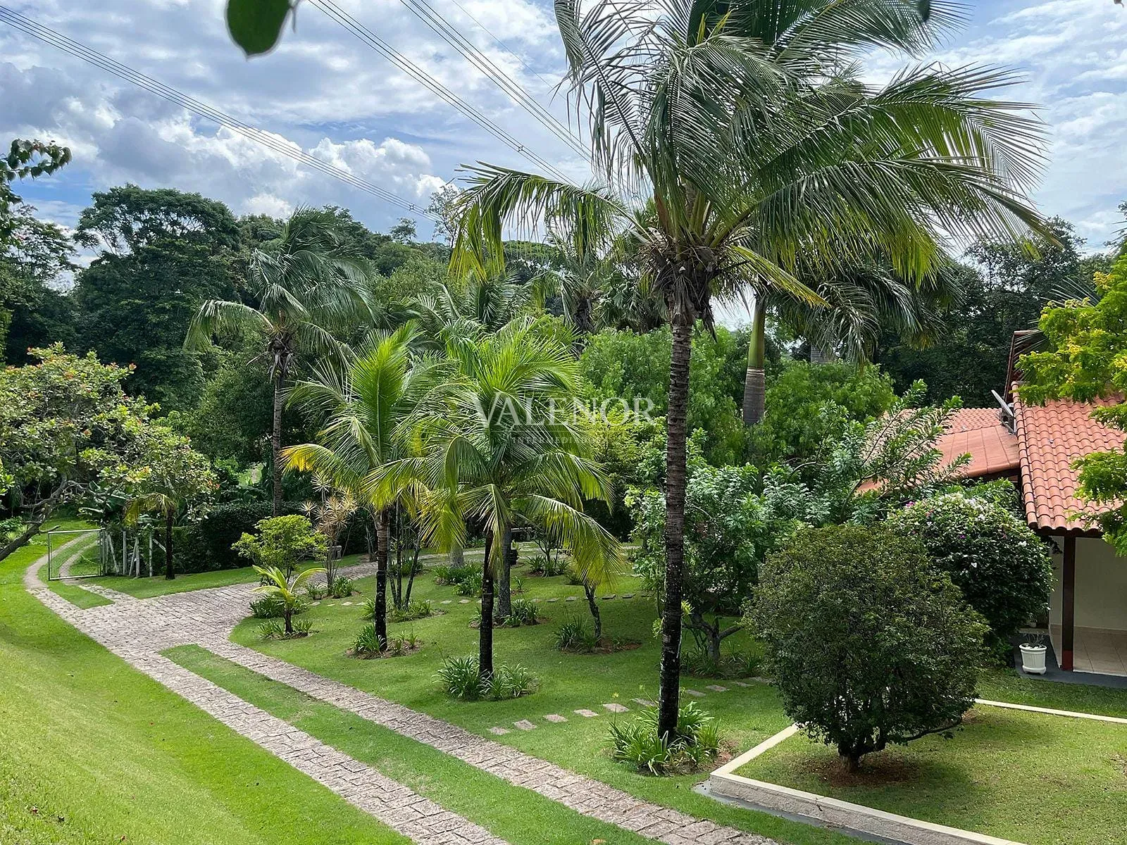 Fazenda, 5 hectares - Foto 22