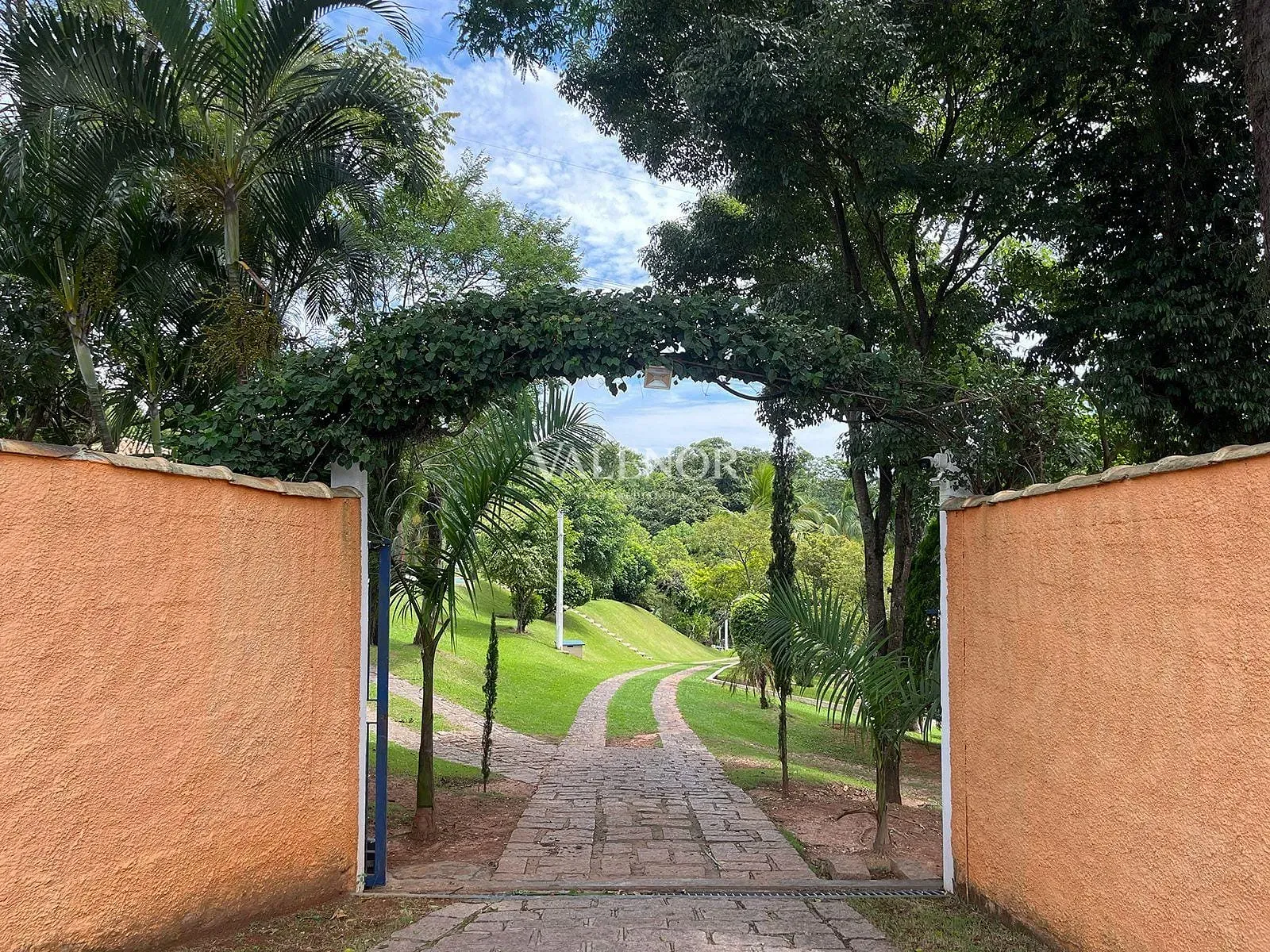 Fazenda, 5 hectares - Foto 7