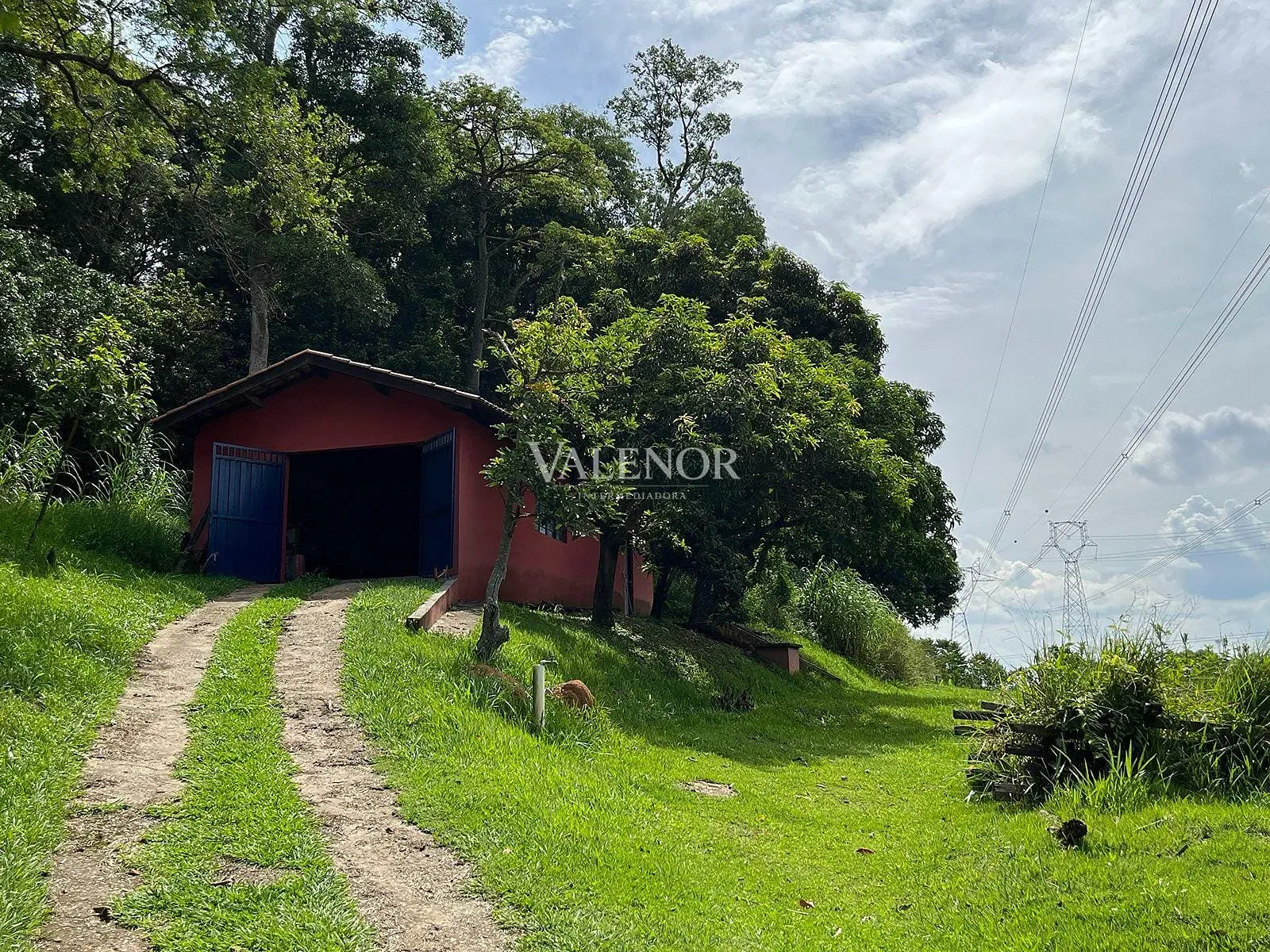 Fazenda, 5 hectares - Foto 8