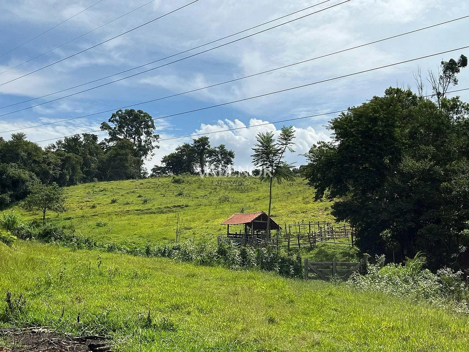 Fazenda, 5 hectares - Foto 14