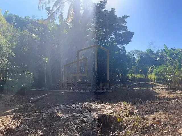 Sítio com 2075m², à venda, no bairro Bom Pastor em Viana