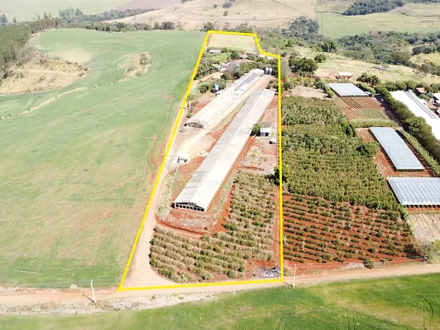 Sítio com 56870m² 3 quartos e 3 banheiros, à venda, no bairro Área Rural de Apucarana em Apucarana