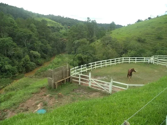 Sítio com 642170000m² 4 quartos e 3 banheiros, à venda, no bairro Zona Rural em Guaratinguetá