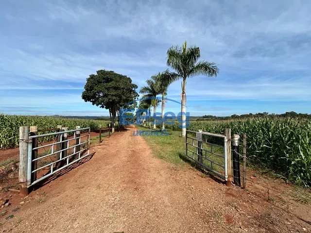Sítio com 245670m² 8 quartos e 5 banheiros, à venda, no bairro Patrimônio Espírito Santo em Londrina