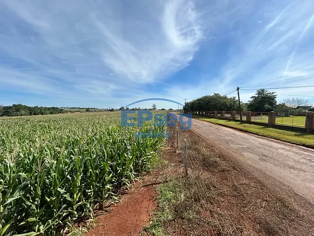 Sítio com 245670m² 8 quartos e 5 banheiros, à venda, no bairro Patrimônio Espírito Santo em Londrina