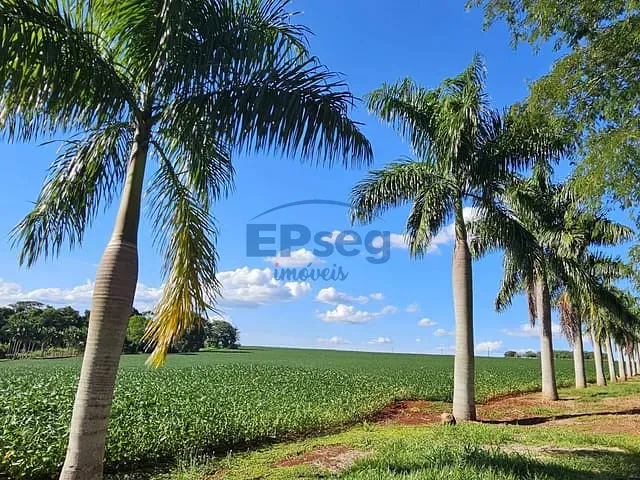 Sítio com 245670m² 8 quartos e 5 banheiros, à venda, no bairro Patrimônio Espírito Santo em Londrina