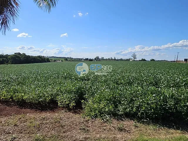 Sítio com 245670m² 8 quartos e 5 banheiros, à venda, no bairro Conjunto Habitacional Violim em Londrina