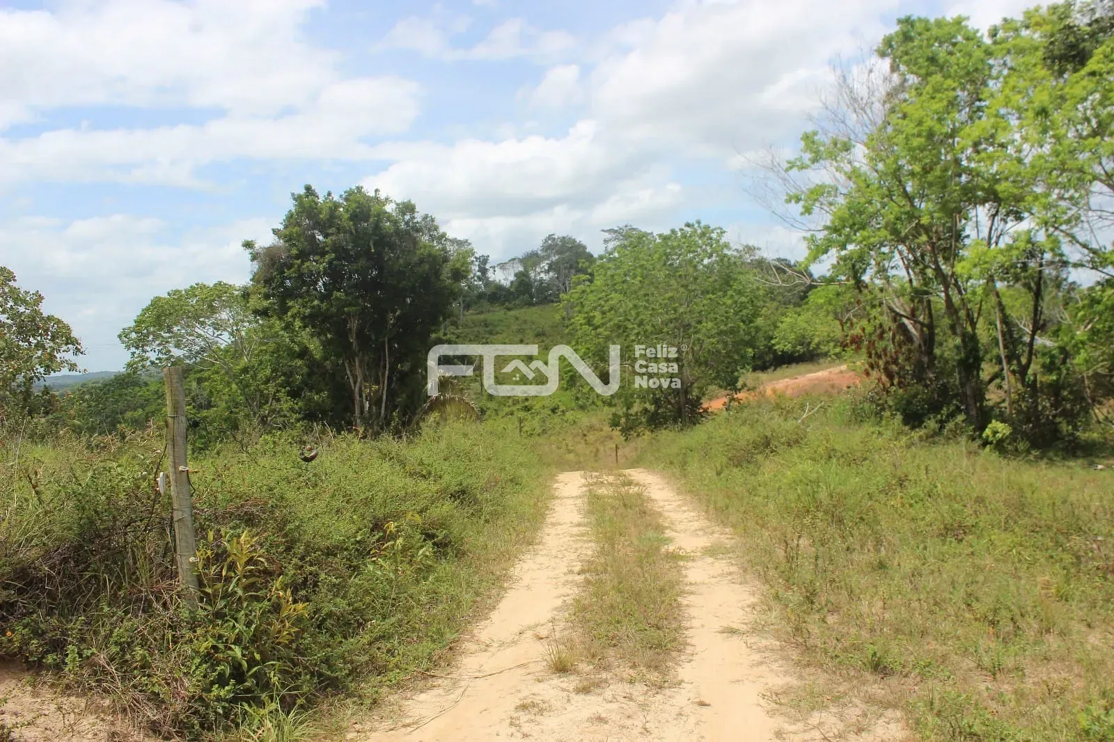 Fazenda, 2 hectares - Foto 7