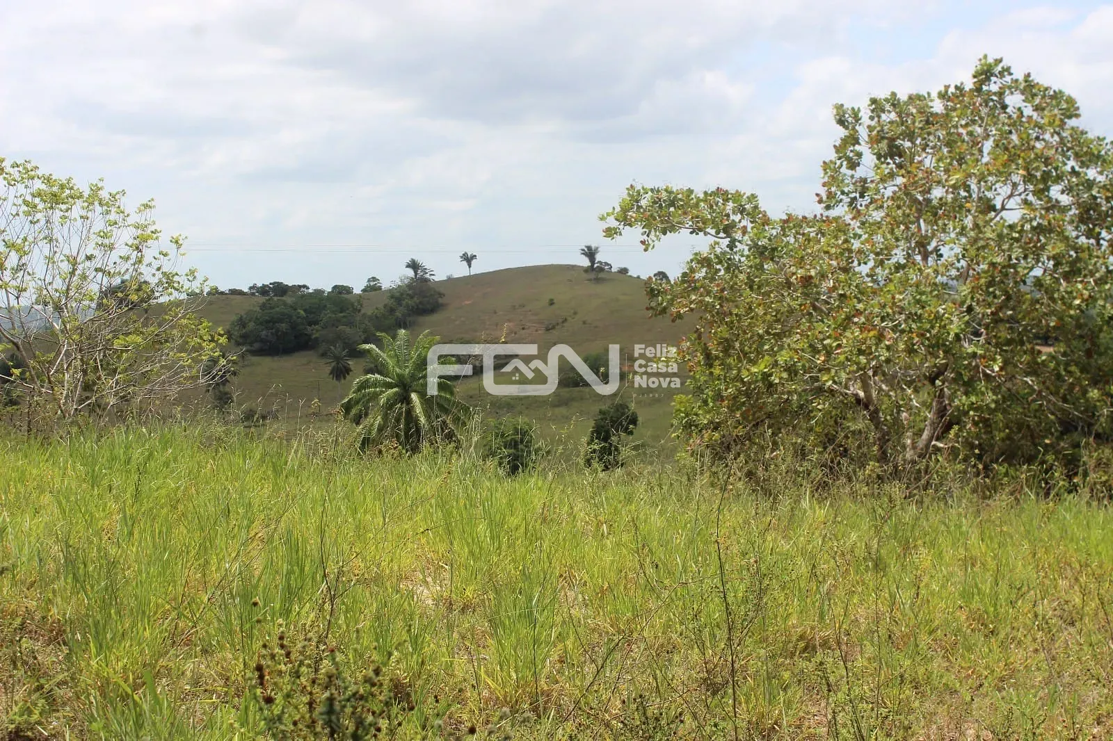 Fazenda, 2 hectares - Foto 10