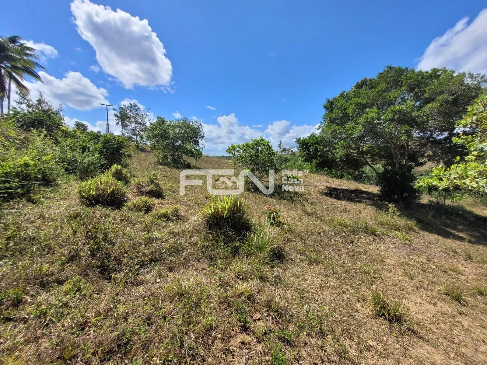 Fazenda, 2 hectares - Foto 3