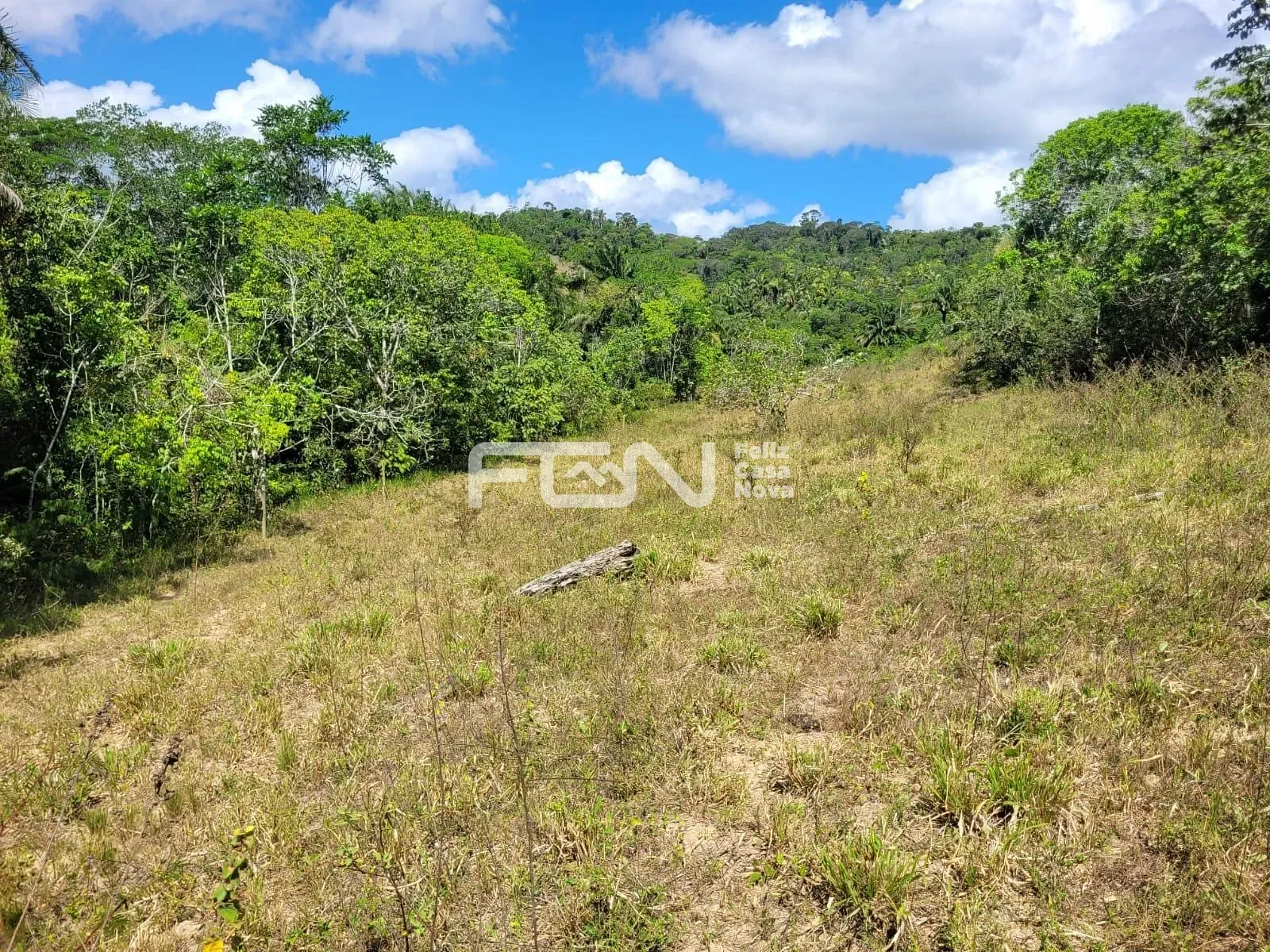 Fazenda, 2 hectares - Foto 8