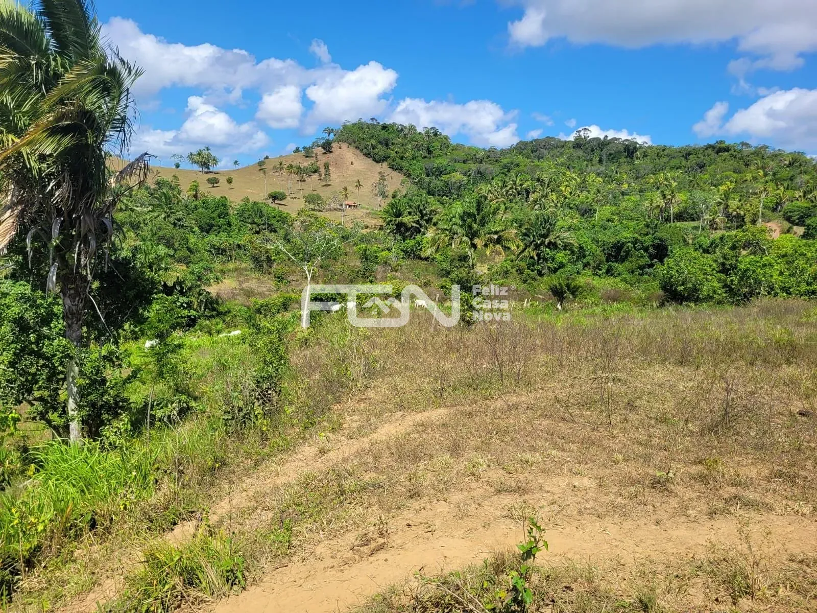 Fazenda, 2 hectares - Foto 6