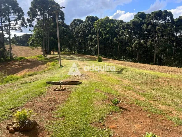 Sítio 4 quartos e 3 banheiros, à venda, no bairro Tronco em Castro