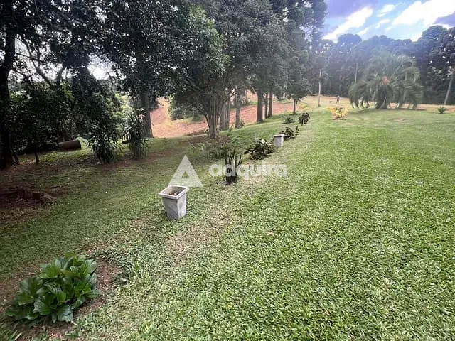 Sítio 4 quartos e 3 banheiros, à venda, no bairro Tronco em Castro