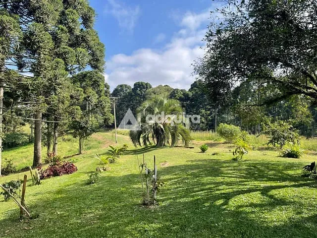 Sítio 4 quartos e 3 banheiros, à venda, no bairro Tronco em Castro