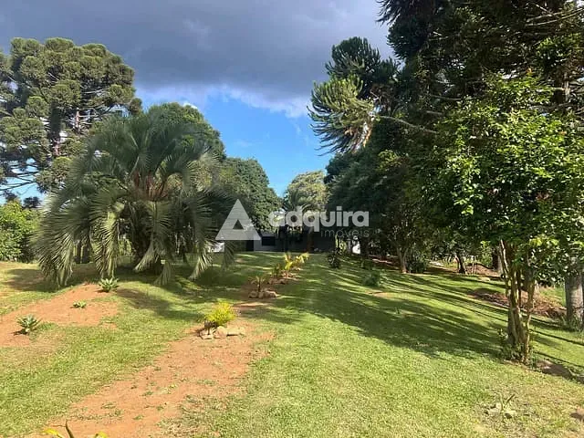 Sítio 4 quartos e 3 banheiros, à venda, no bairro Tronco em Castro