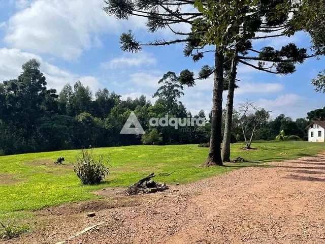 Sítio 4 quartos e 3 banheiros, à venda, no bairro Tronco em Castro