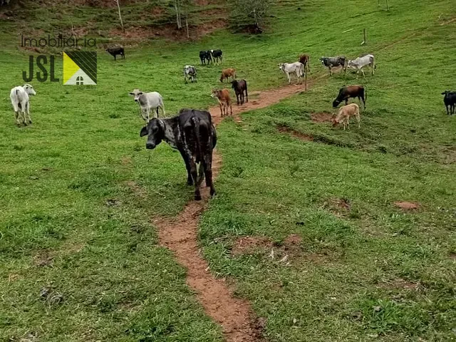 Sítio com 484000m² 3 quartos e 2 banheiros, à venda, no bairro Cunha em Cunha