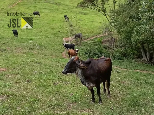 Sítio com 484000m² 3 quartos e 2 banheiros, à venda, no bairro Cunha em Cunha