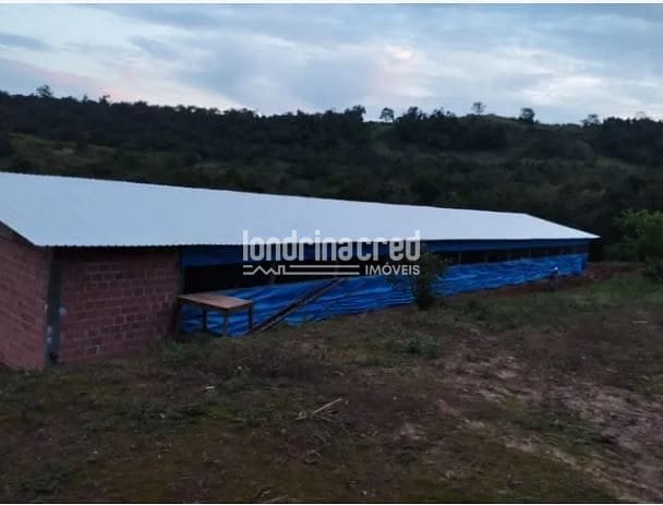 Fazenda, 9 hectares - Foto 2