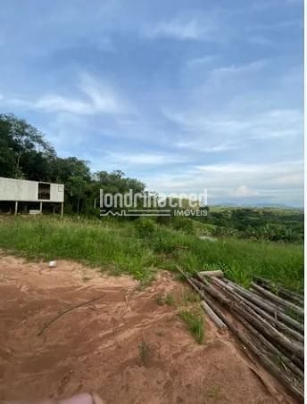 Fazenda, 9 hectares - Foto 11