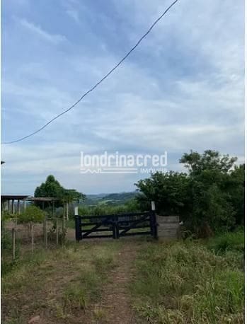 Fazenda, 9 hectares - Foto 13
