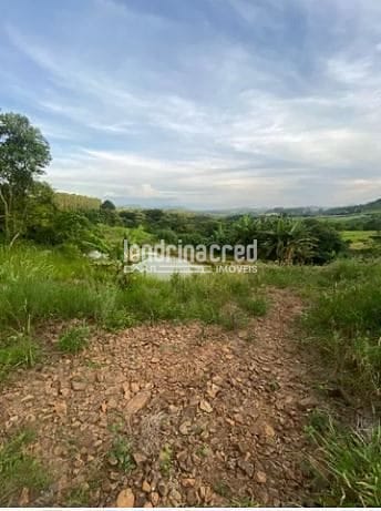 Fazenda, 9 hectares - Foto 14