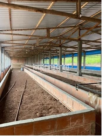 Fazenda, 9 hectares - Foto 3