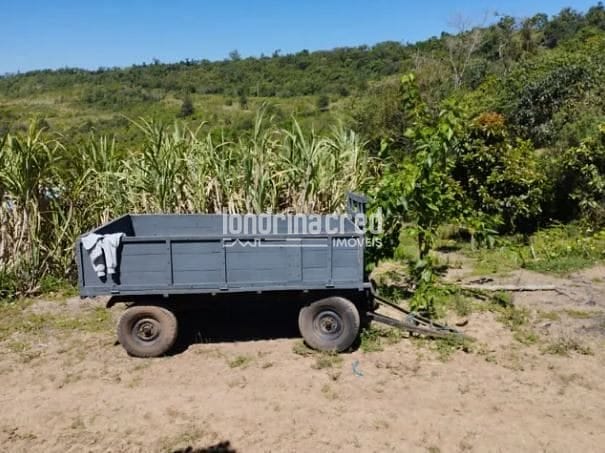 Fazenda, 9 hectares - Foto 6