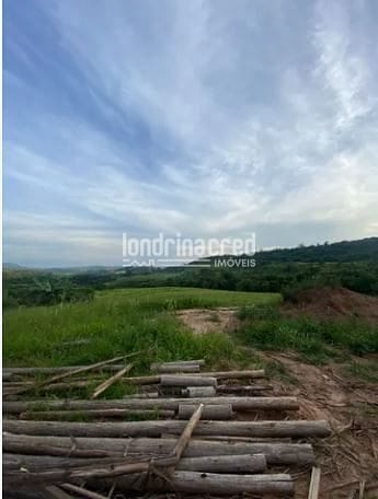 Fazenda, 9 hectares - Foto 10