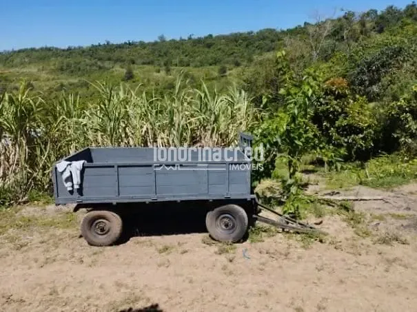 Fazenda, 9 hectares - Foto 6
