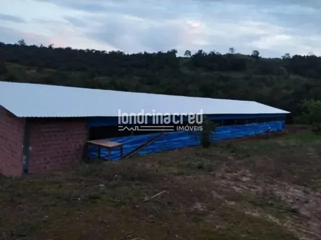Sítio com 88000m², à venda, no bairro RURAL em Tamarana