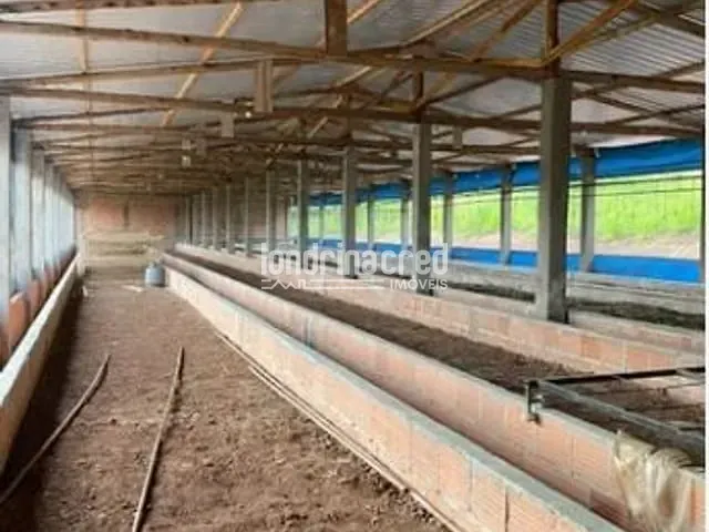 Sítio com 88000m², à venda, no bairro RURAL em Tamarana