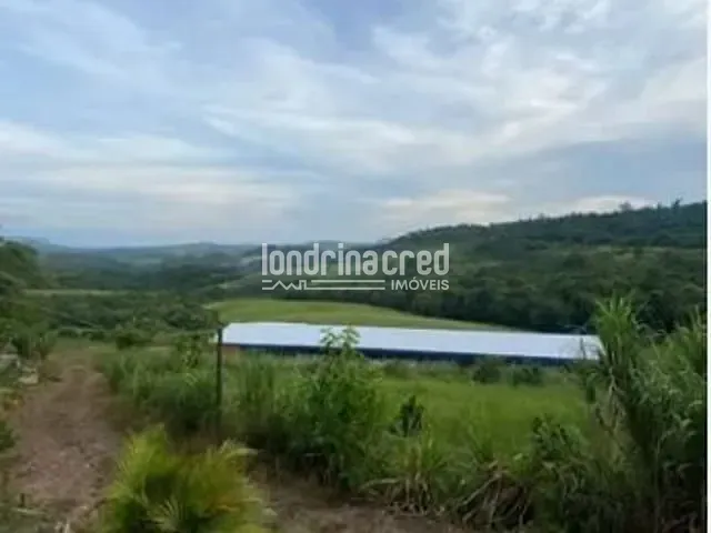 Sítio com 88000m², à venda, no bairro RURAL em Tamarana