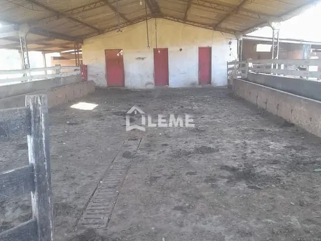 Sítio com 387200m², à venda, no bairro Vila Lambari em Mococa