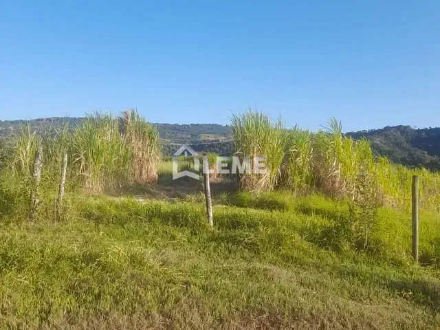 Sítio com 387200m², à venda, no bairro Vila Lambari em Mococa