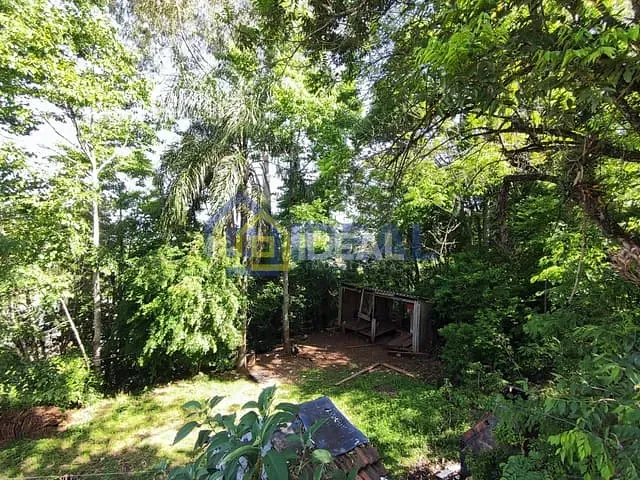 Sítio com 84m² 3 quartos e 1 banheiro, à venda, no bairro Vila Jacob Biezus em Concórdia