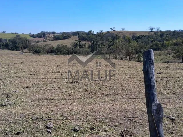 Sítio com 20000m², à venda, no bairro Área Rural de Saltinho em Saltinho