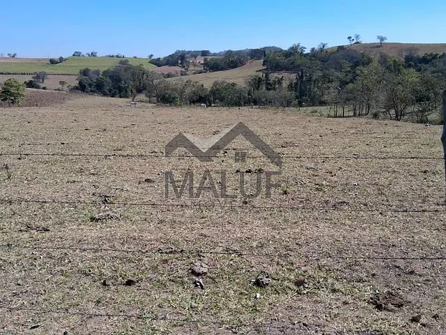 Sítio com 20000m², à venda, no bairro Área Rural de Saltinho em Saltinho